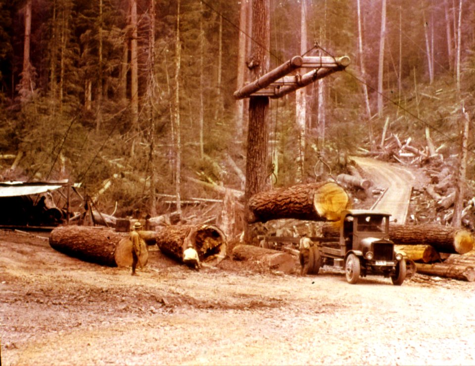 363075 Loading Logs near Snoqualmie NF