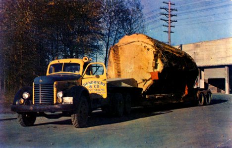 P1936 Logging in the PNW, WA