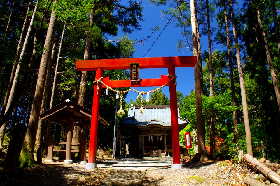 Torii gate of Takakura Shrine