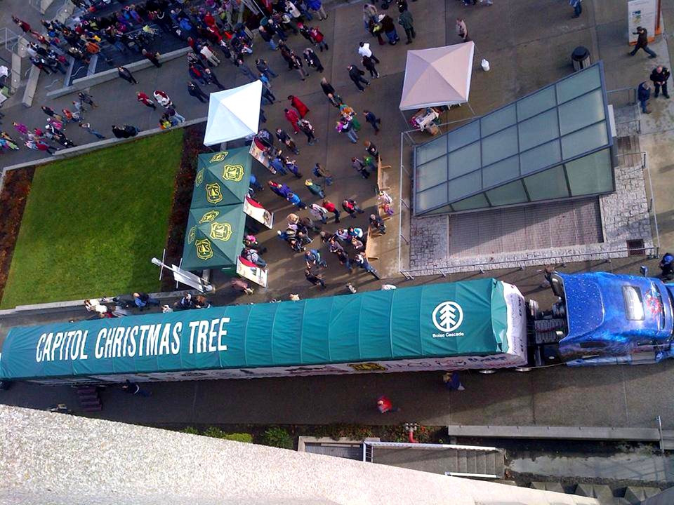 2013 Capitol Christmas Tree- Everett Washington