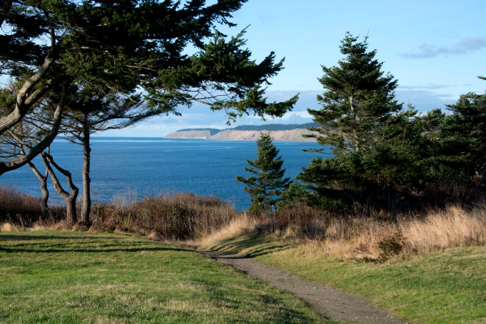 The Pacific Northwest Trail through Fort Casey State Park near Admiralty Head Lighthouse