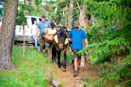 Wilderness Stewardship Skills Training at Mt Adams Ranger District-177 photo