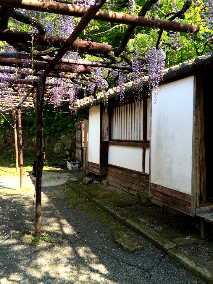左賀&長崎～日本Japan