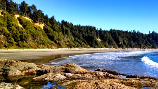 The Pacific Northwest Trail at Yellow Banks in Olympic National Park's Wilderness Coast photo