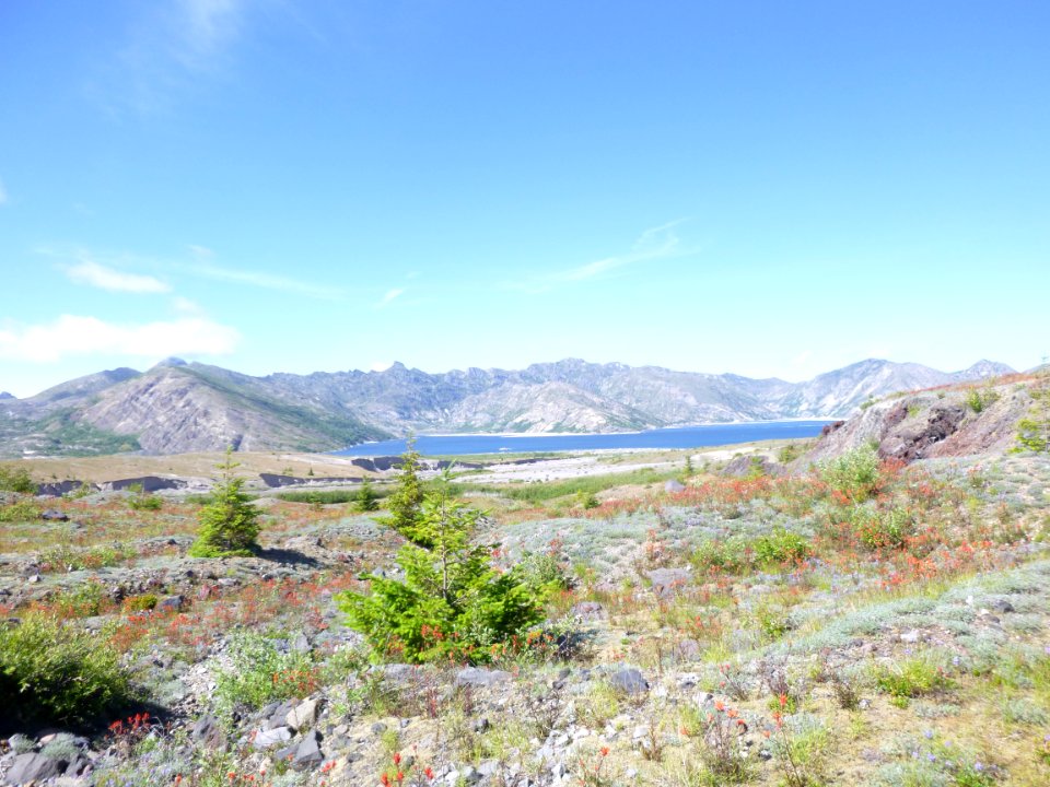 Spirit Lake to the north from the pumice plain's Truman Trail