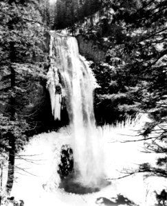 507445 Salt Creek Falls Frozen, Willamette NF, OR 1964 photo
