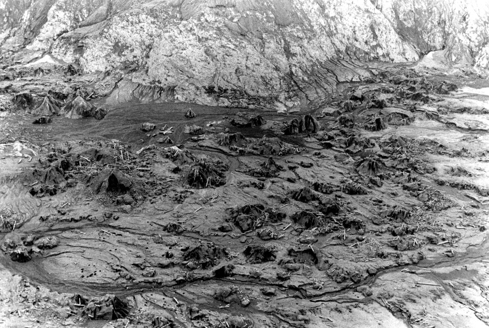 529752 Mud Flow Toutle River 6-11-1980, GPNF, WA