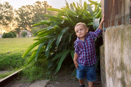 Tiziano - 2 Años