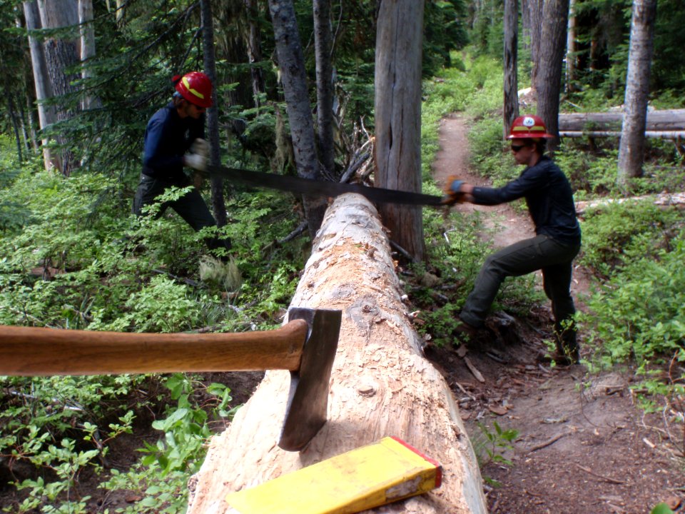 2018 MtHood Trail Crew Logs Out Elk Meadows