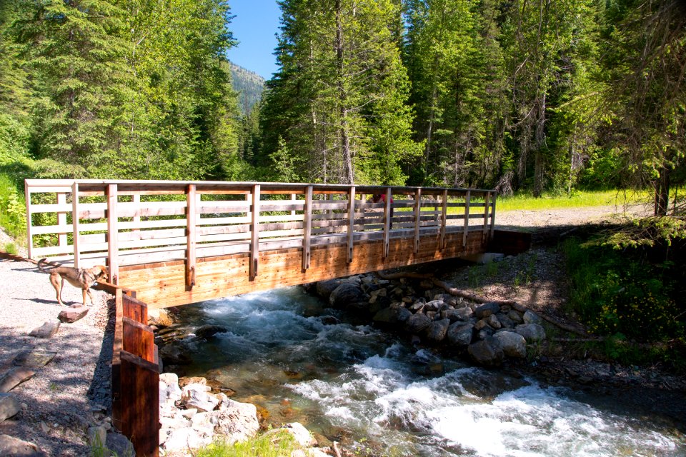 The Pacific Northwest Trail crossing Grave Creek, Kootenai National Forest