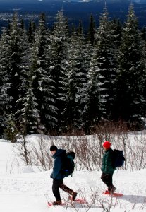 Snowshoers on Trail photo