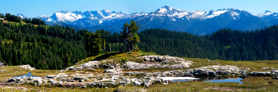 Cascades panorama from the upper meadow below Park Butte photo
