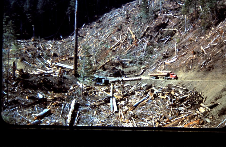 clearcut log truck