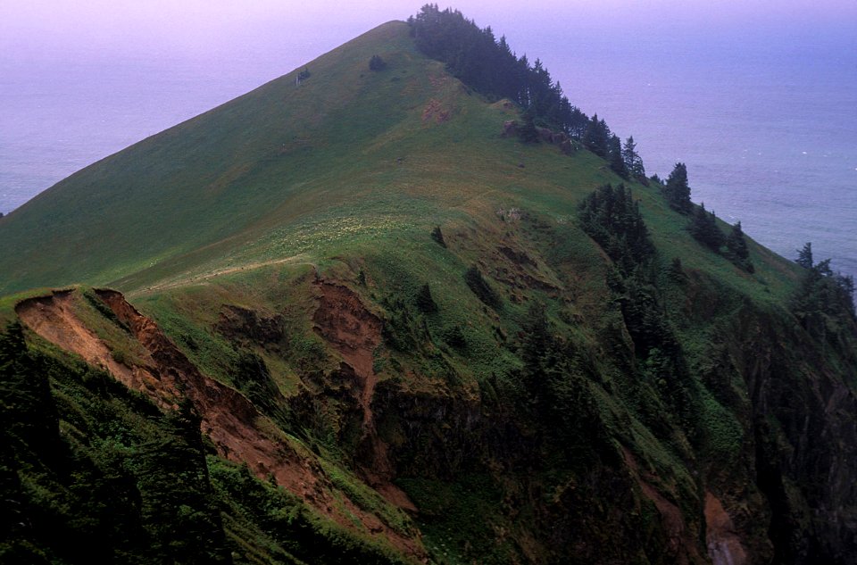 Cascade Head Summit, Siuslaw National Forest