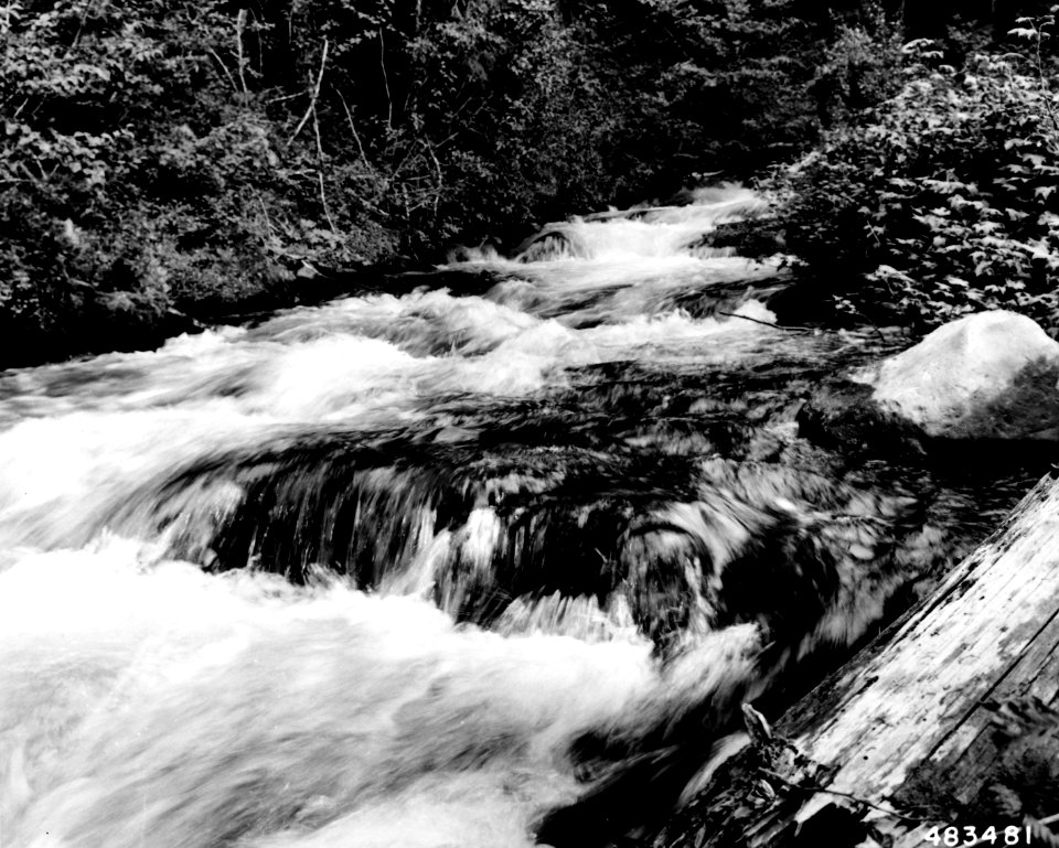 483481 Roaring River, So Fork McKenzie River, Willamette NF, OR 1957