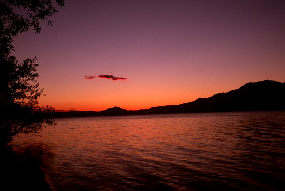 Sunset at Lake Quinault, Olympic National Forest,.jpg