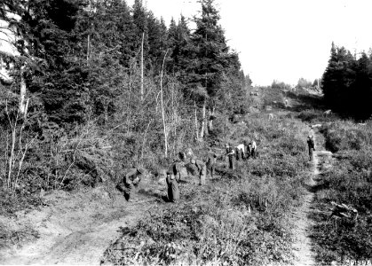 391996 CCC Camp North Bend Fireline, Siskiyou NF, OR 1936