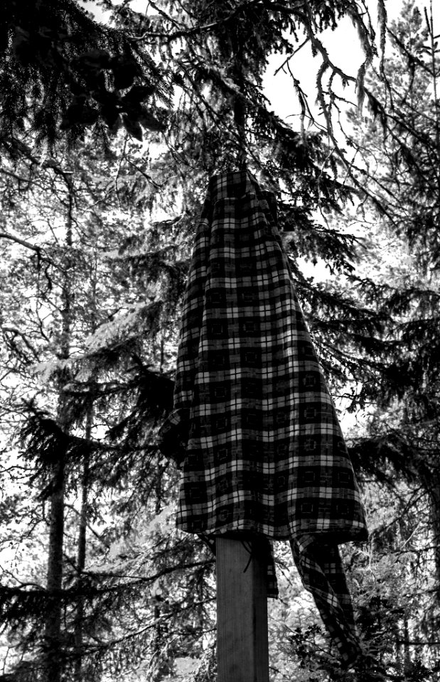 A cloth in the woods