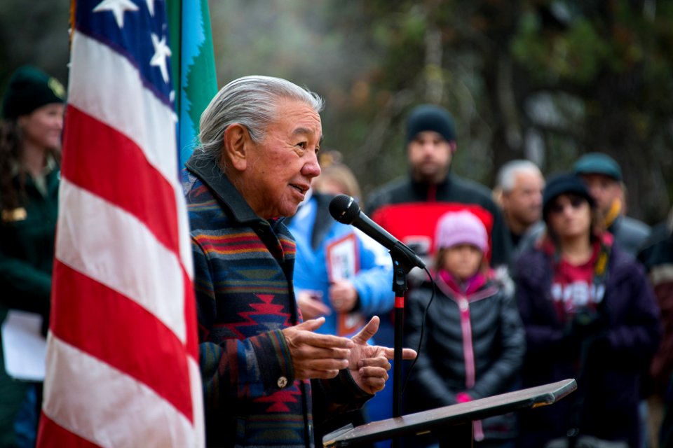 2013 Capitol Christmas Tree- Indian Elder