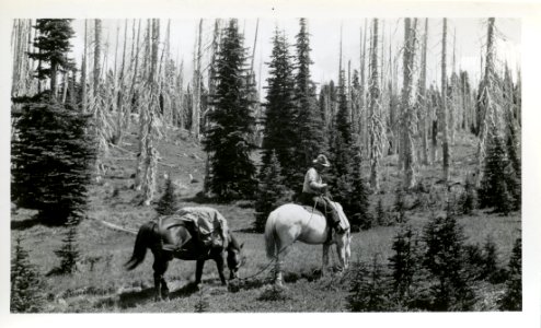 1920s Columbia NF Packing Supplies 002