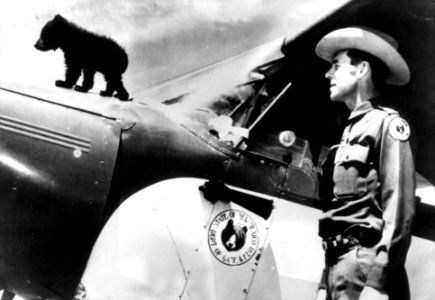 Smokey on Airplane Cowling 1950