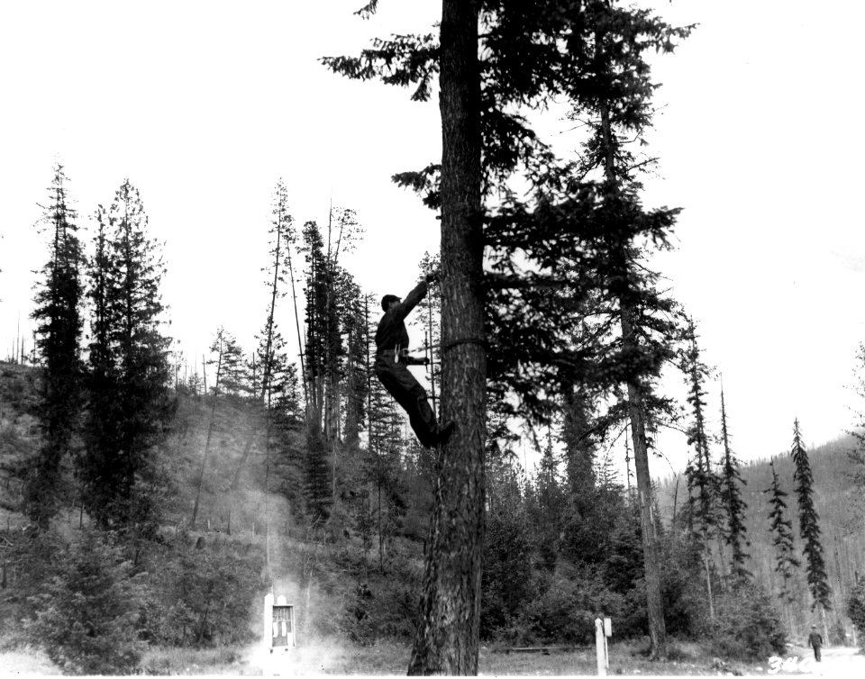 340383 CCC at Growden RS, Colville NF, WA 1936