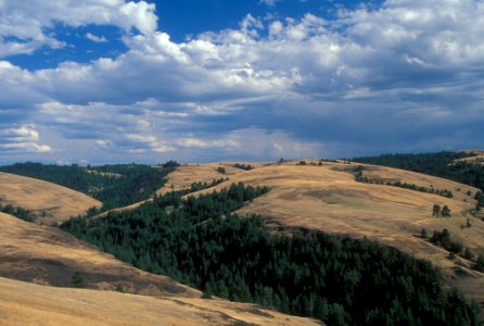 Hills around Ukiah & Joseph Oregon-Umatilla photo