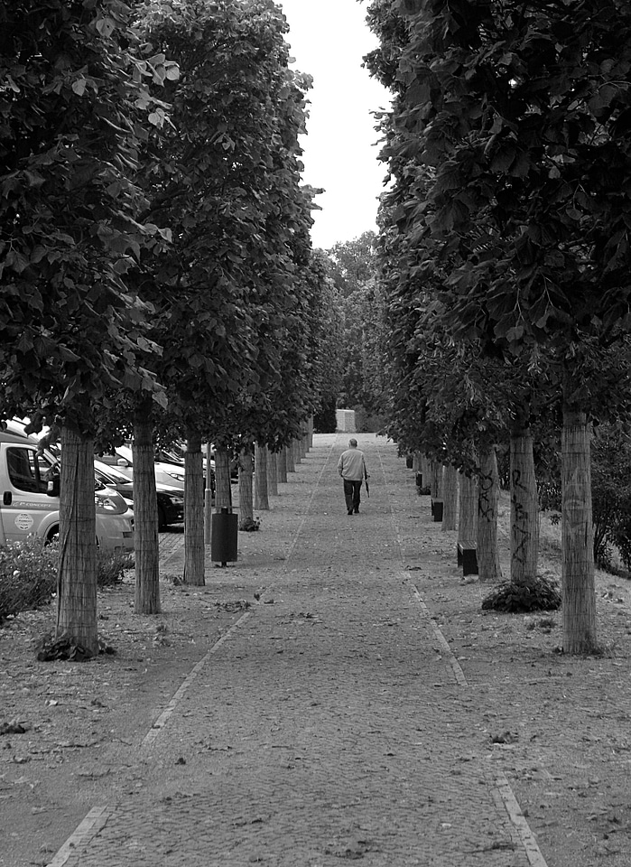 Walk landscape person