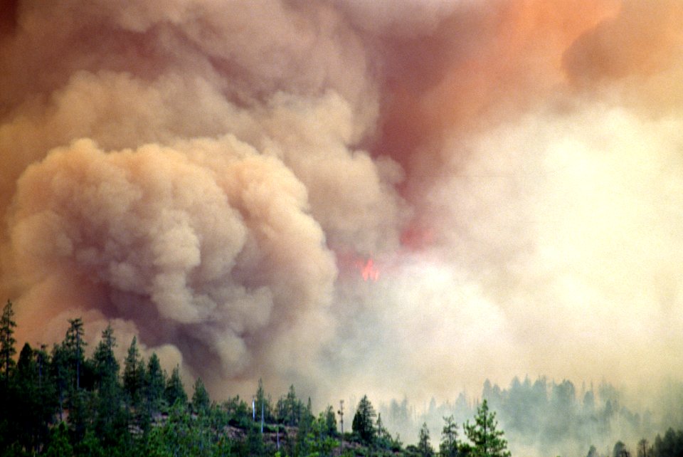 106 Rogue River-Siskiyou National Forest Biscuit Fire