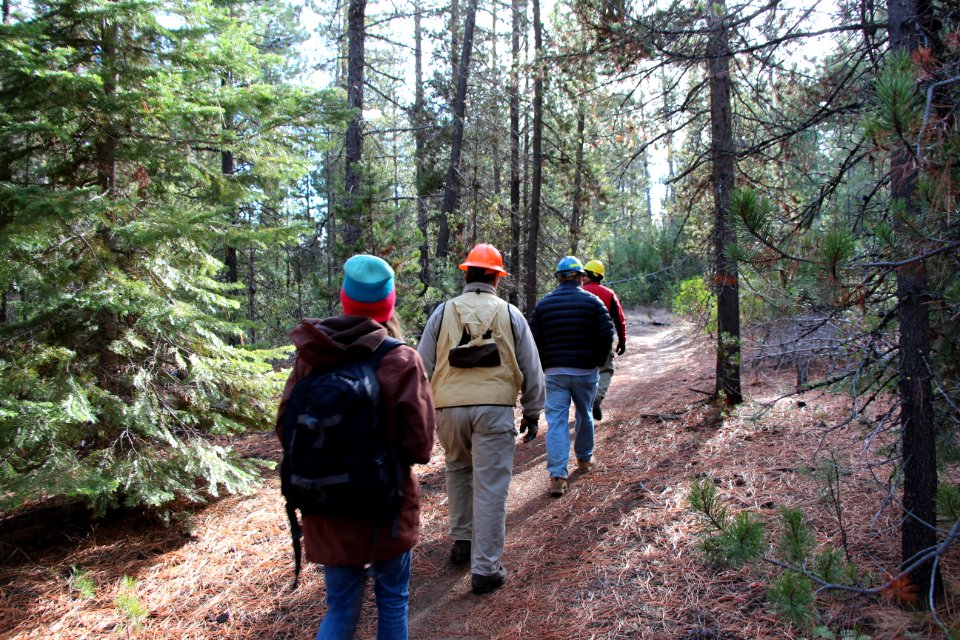 Greater La Pine Basin Cohesive Strategy Project