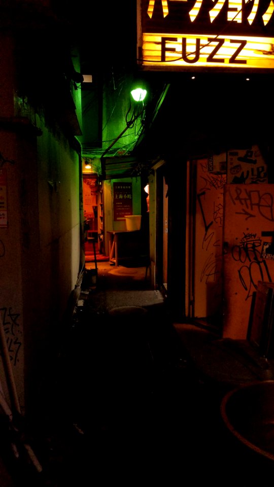 Night alley of Kabuki-cho