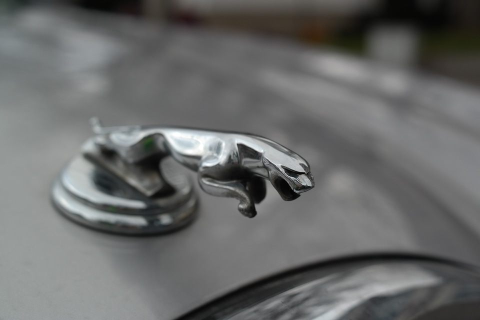 Auto cool figure luxury