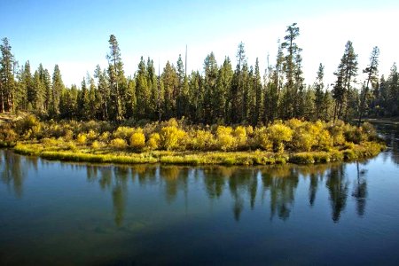 CRGNSA View near Wyeth Campground area at Columbia River.