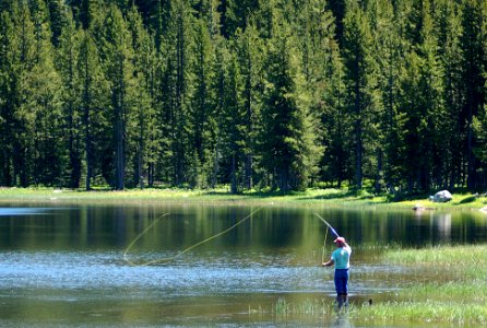 Flyfishing at Anthony Lakes, Wallowa-Whitman National Forest photo