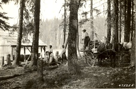 16100-13 Transferring Skyline Camo outfit from hayrack to boats on Odell Lake August 6 1920 photo