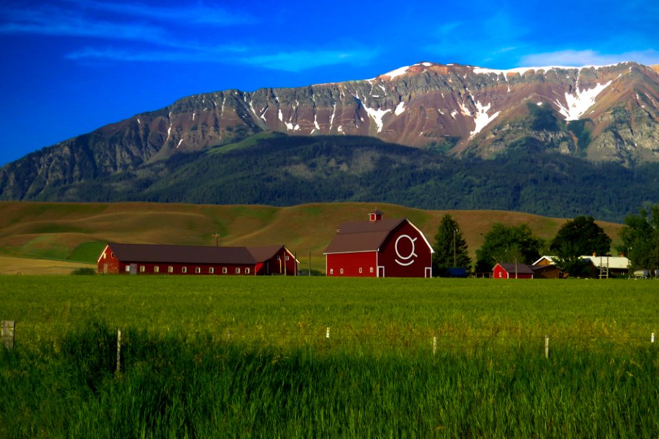 Red Barn with Eagle Cap Wilderness in Background, Wallowa Whitman National Forest