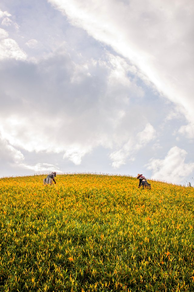 花蓮六十石山