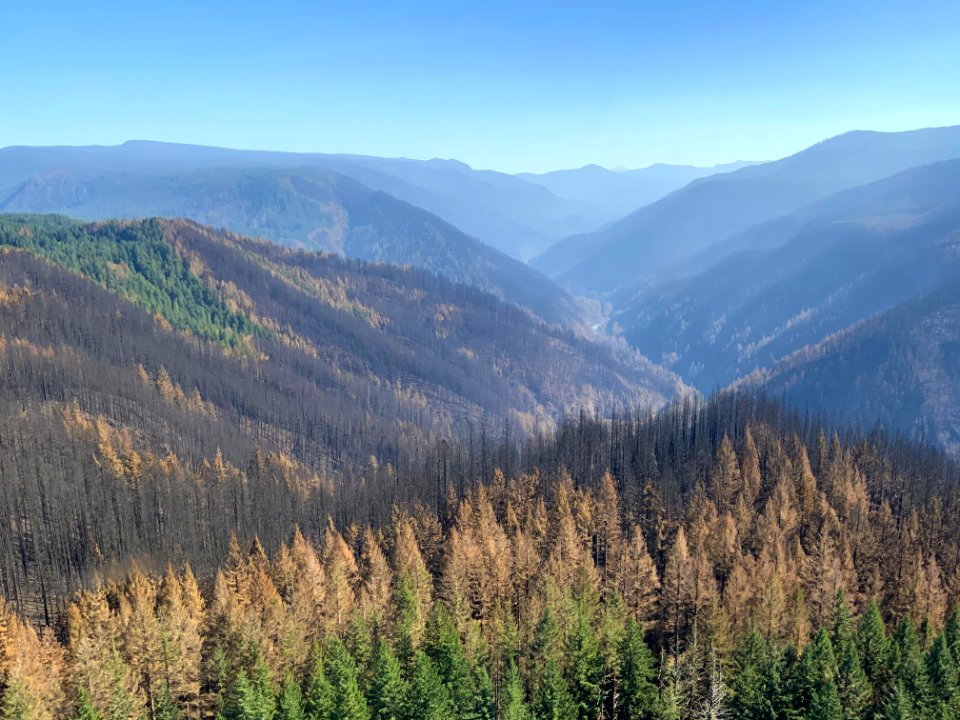 Riverside Fire, Mt. Hood National Forest