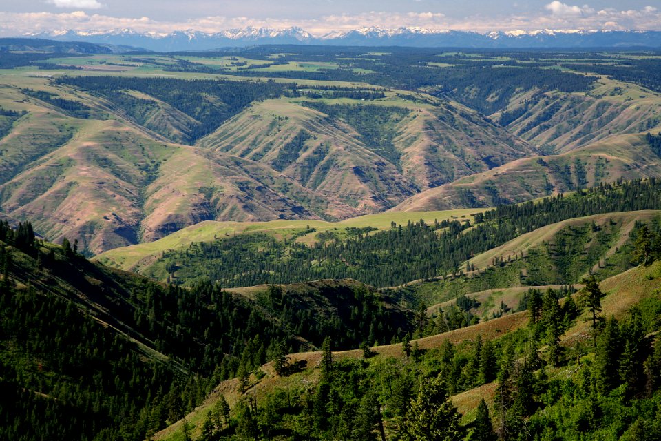 Grande Ronde River with Elkhorn Mountains-Umatilla