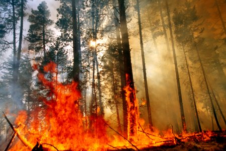 466 Prescribed fire burn, Colville National Forest