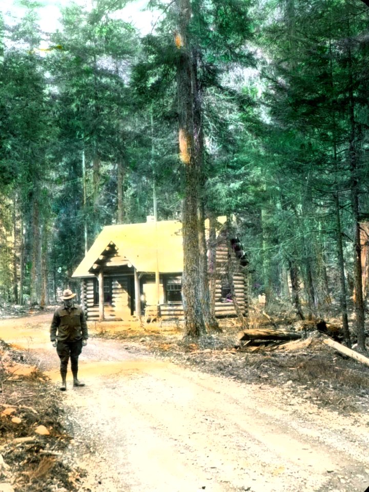 silverCrGS tint slide fwc1931
