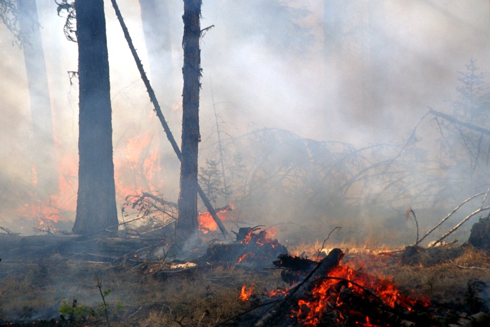 470 Prescribed fire burn, Colville National Forest