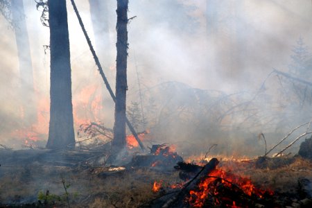 470 Prescribed fire burn, Colville National Forest photo