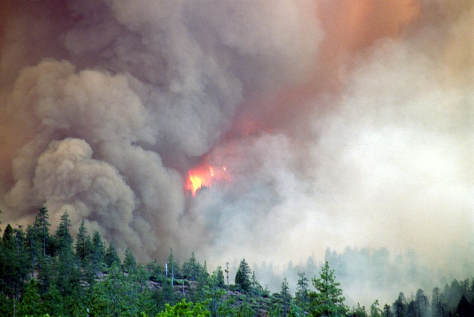 115 Rogue River-Siskiyou National Forest Biscuit Fire