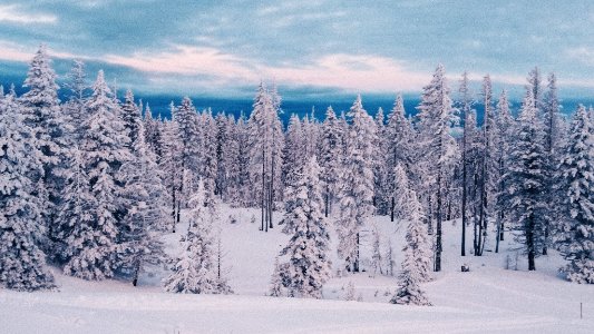 20210103-Umatilla National Forest in winter 001