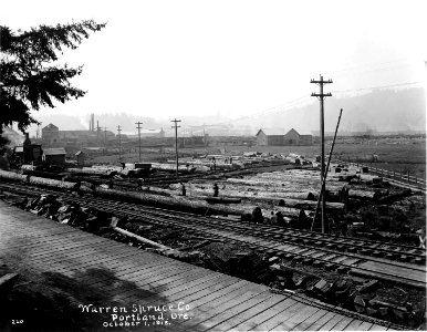 220 Donkey Sled Yard at Toledo