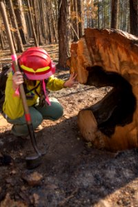 Burned Area Emergency Response, Umpqua National Forest, 2017 photo