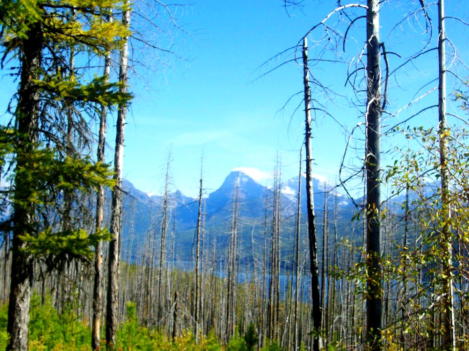 View of Glacier National Park from the North Fork of the Flathead Road