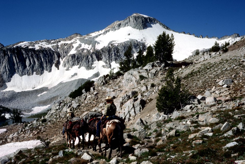 Backcountry rangers lead packtrain in the Eagle Cap Wilderness, Wallowa-Whitman National Forest