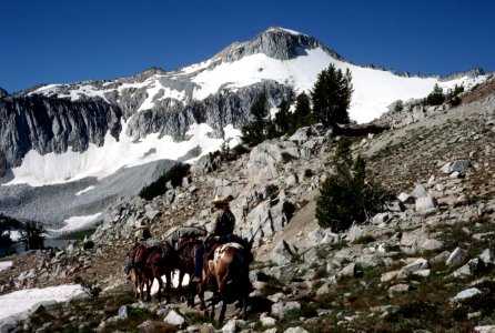 Backcountry rangers lead packtrain in the Eagle Cap Wilderness, Wallowa-Whitman National Forest